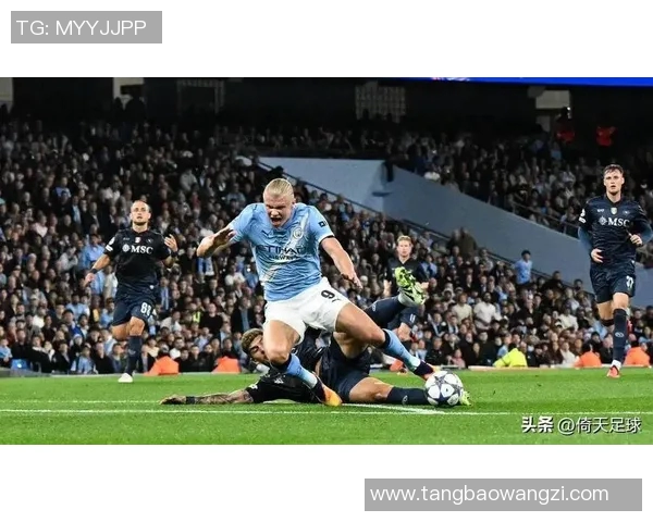 德甲精彩对决霍芬海姆迎战强敌拜仁慕尼黑直播盛况不容错过