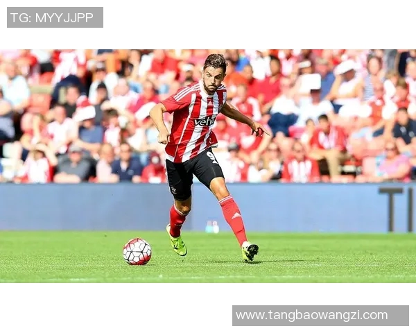 维迪斯与尼斯对决足彩分析及赛事预测全面解析